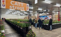 News image: CNB Marktbroeishow: innovatie die je ziet!